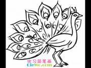 ��һֻ��ȸ��ʻ�