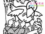 ������ιС���ͼƬ��ʻ�