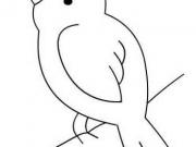 �׶�С���ʻ�