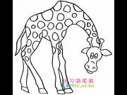 ����¹��ʻ�ͼƬ