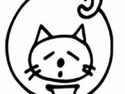 ����è�ļ�ʻ�