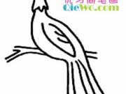 �����Ŀ�ȸ��ʻ�