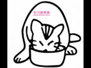 ��ʳ���Сè��ʻ�