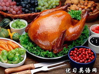 Thanksgiving Day ˫��ж���